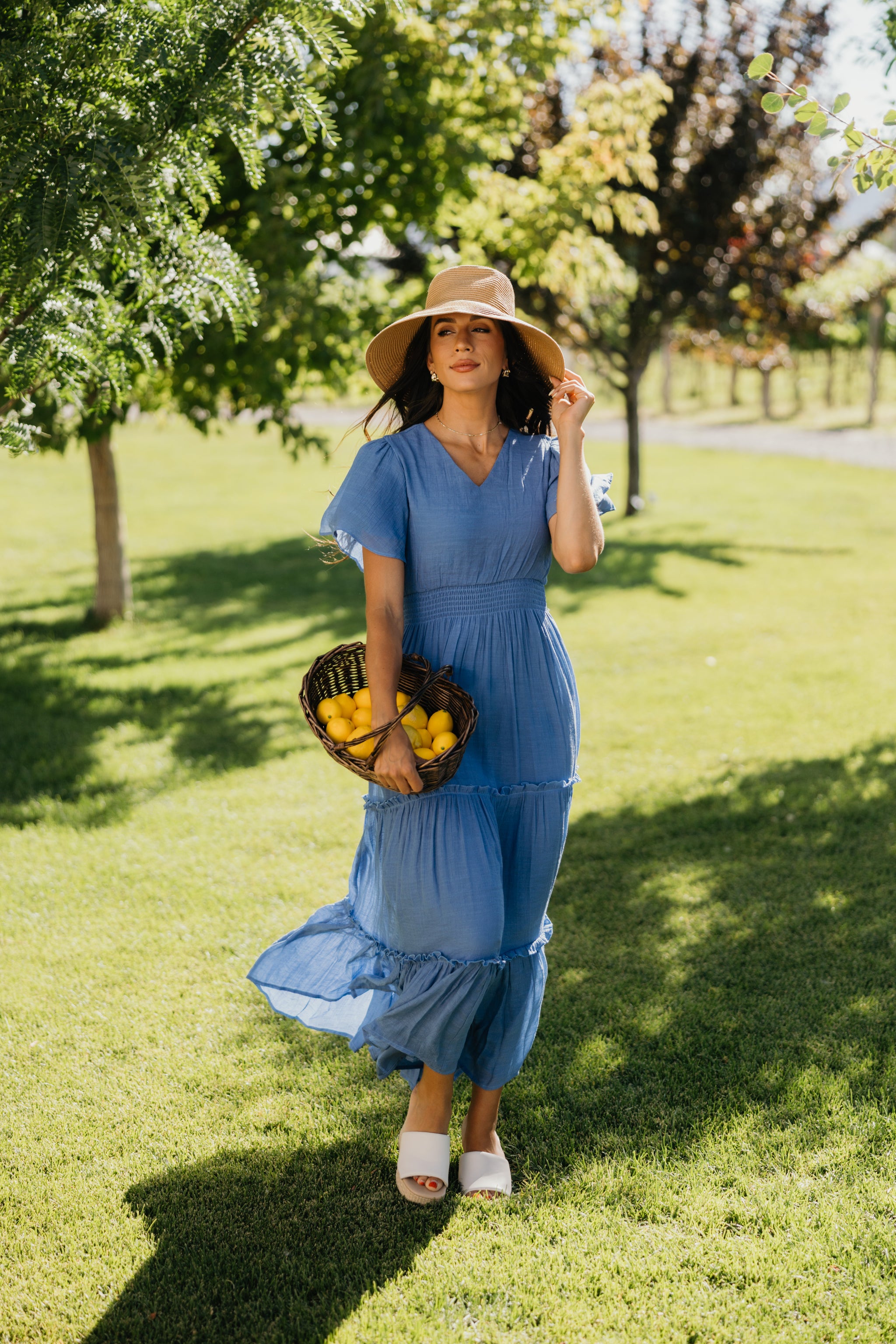 The Taylor Maxi Dress in Colony Blue 4XL
