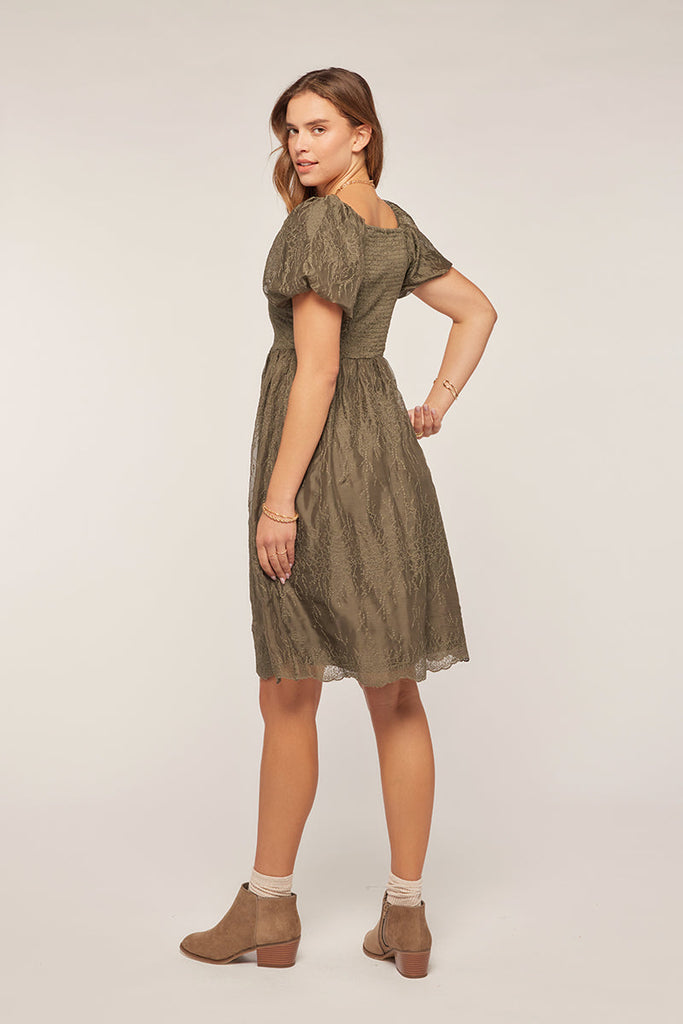 The Jillian Embroidered Chiffon Dress in Olive