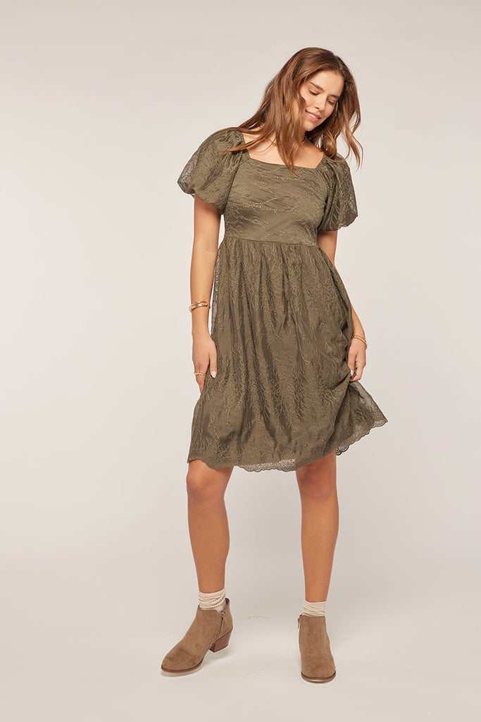 The Jillian Embroidered Chiffon Dress in Olive