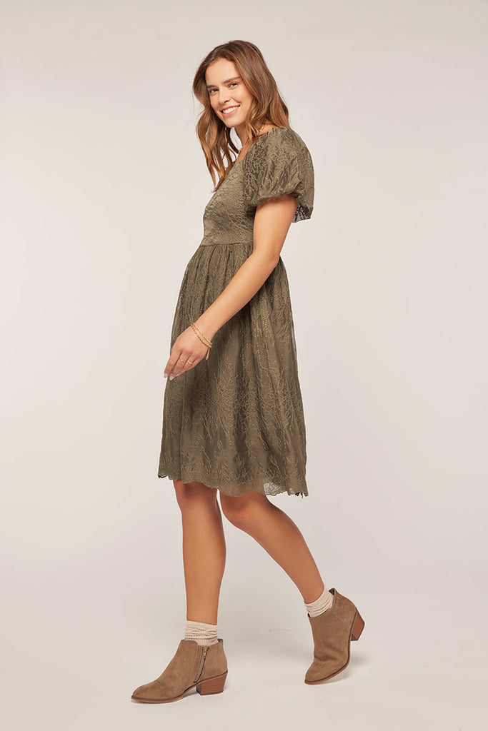 The Jillian Embroidered Chiffon Dress in Olive