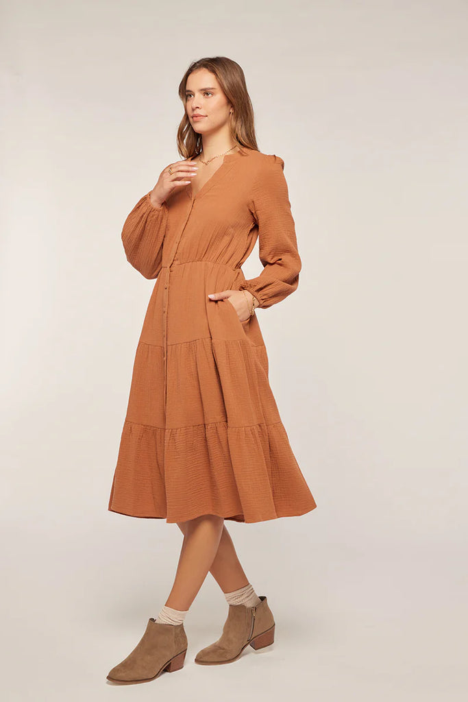 The Shelton Button Down Dress in Almond