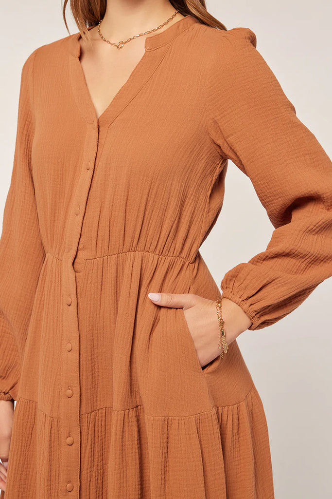The Shelton Button Down Dress in Almond